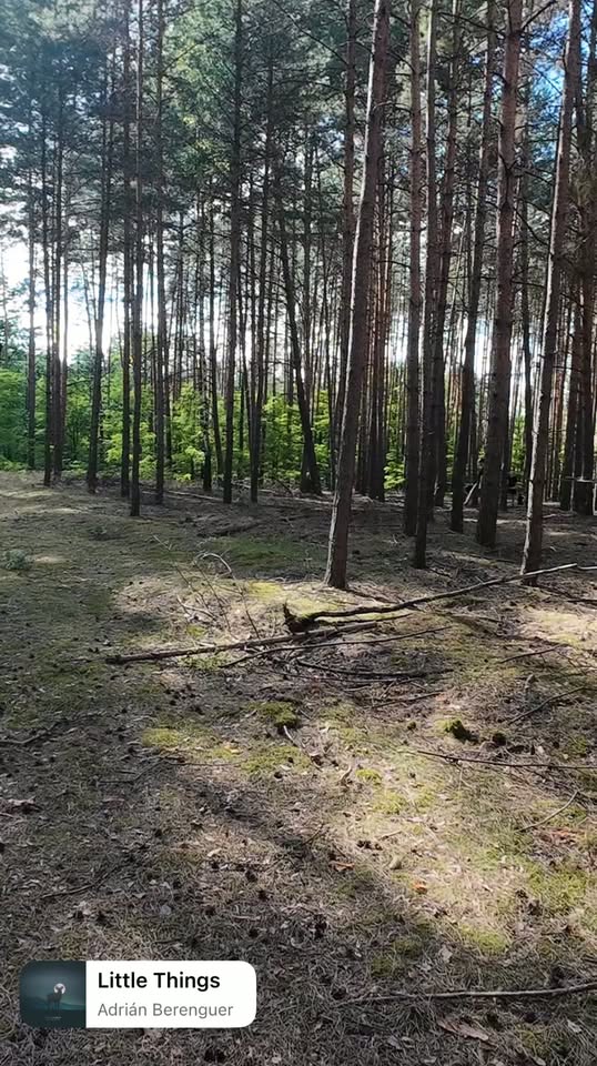 Kadr z filmu Szczepu 9 Labirynt