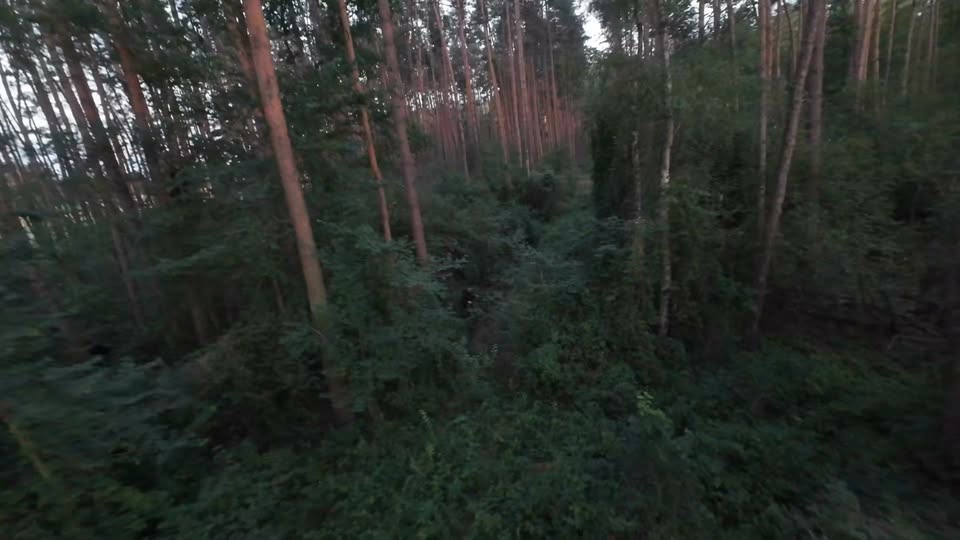 Kadr z filmu Szczepu 9 Labirynt